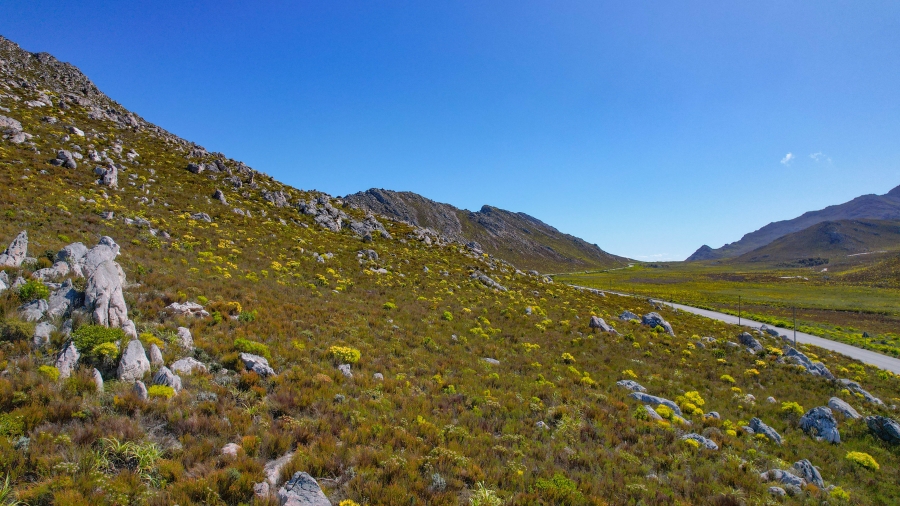 0 Bedroom Property for Sale in Pringle Bay Western Cape